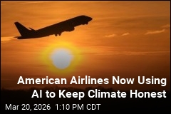 American Airlines Teams Up With Google for an AI Fix