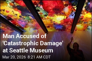 Man Accused of 'Catastrophic Damage' at Seattle Museum