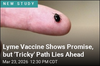 Lyme Vaccine Shows Promise, but 'Tricky' Path Lies Ahead