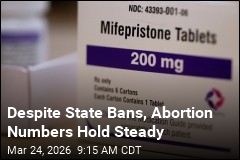 US Abortions Hold Steady as Telehealth Expands Access