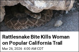 Rattlesnake Bite Kills Hiker on Popular California Trail