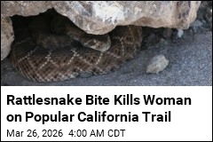 Rattlesnake Bite Kills Hiker on Popular California Trail