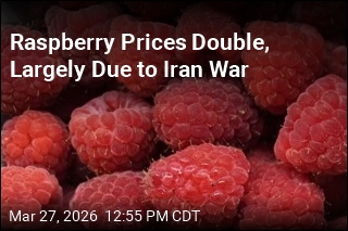 Raspberry Prices Double, Largely Due to Iran War