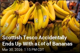 Scottish Tesco Accidentally Ends Up With a Lot of Bananas