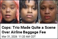 Cops Arrest 3 in Viral Airport Dustup Over Baggage Fee