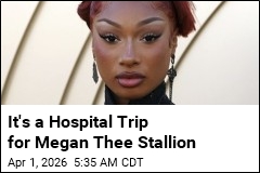Megan Thee Stallion Falls Ill During Broadway Performance