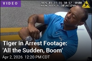 Tiger Woods Arrest Video Is Out