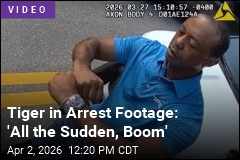 Tiger Woods Arrest Video Is Out