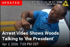 Tiger Woods Arrest Video Is Out