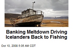 Banking Meltdown Driving Icelanders Back to Fishing