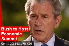 Bush to Host Economic Summit