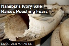 Namibia's Ivory Sale Raises Poaching Fears