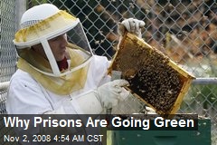 Why Prisons Are Going Green