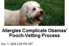 Allergies Complicate Obamas' Pooch-Vetting Process
