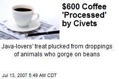 $600 Coffee 'Processed' by Civets