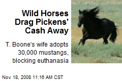 Wild Horses Drag Pickens' Cash Away