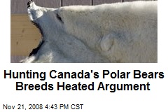 Hunting Canada's Polar Bears Breeds Heated Argument