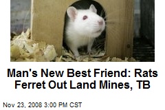 Man's New Best Friend: Rats Ferret Out Land Mines, TB