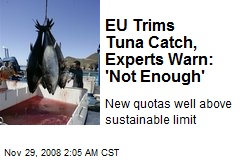 EU Trims Tuna Catch, Experts Warn: 'Not Enough'