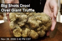 Big Shots Drool Over Giant Truffle