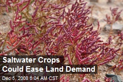 Saltwater Crops Could Ease Land Demand