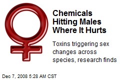 Chemicals Hitting Males Where It Hurts