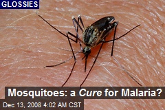 Mosquitoes: a Cure for Malaria?