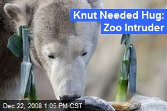 Knut Needed Hug: Zoo Intruder