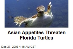 Asian Appetites Threaten Florida Turtles