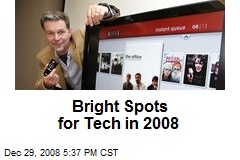 Bright Spots for Tech in 2008