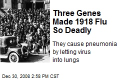Three Genes Made 1918 Flu So Deadly