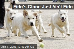 Fido's Clone Just Ain't Fido