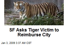 SF Asks Tiger Victim to Reimburse City