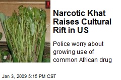 Narcotic Khat Raises Cultural Rift in US