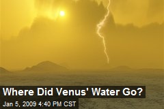 Where Did Venus' Water Go?