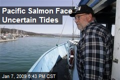 Pacific Salmon Face Uncertain Tides