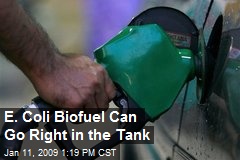 E. Coli Biofuel Can Go Right in the Tank