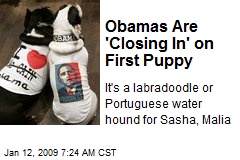 Obamas Are 'Closing In' on First Puppy