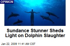 Sundance Stunner Sheds Light on Dolphin Slaughter