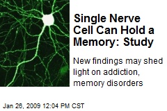 Single Nerve Cell Can Hold a Memory: Study