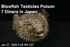 Blowfish Testicles Poison 7 Diners in Japan