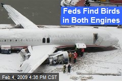 Feds Find Birds in Both Engines