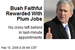 Bush Faithful Rewarded With Plum Jobs