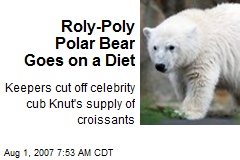 Roly-Poly Polar Bear Goes on a Diet