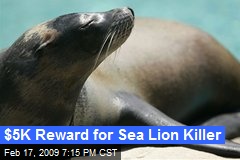 $5K Reward for Sea Lion Killer