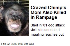 Crazed Chimp's Mom Also Killed in Rampage
