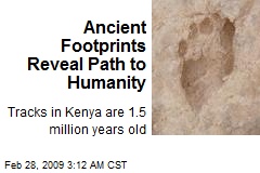 Ancient Footprints Reveal Path to Humanity