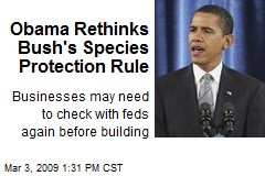Obama Rethinks Bush's Species Protection Rule