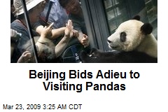Beijing Bids Adieu to Visiting Pandas
