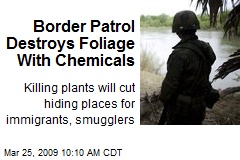 Border Patrol Destroys Foliage With Chemicals